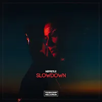 Nefretle — Slowdown — обложка